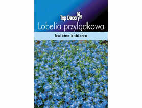 Lobelia przylądkowa TOP DECOR
