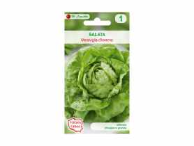 Sałata głowiasta masłowa nasiona tradycyjne 0.5 g W. LEGUTKO