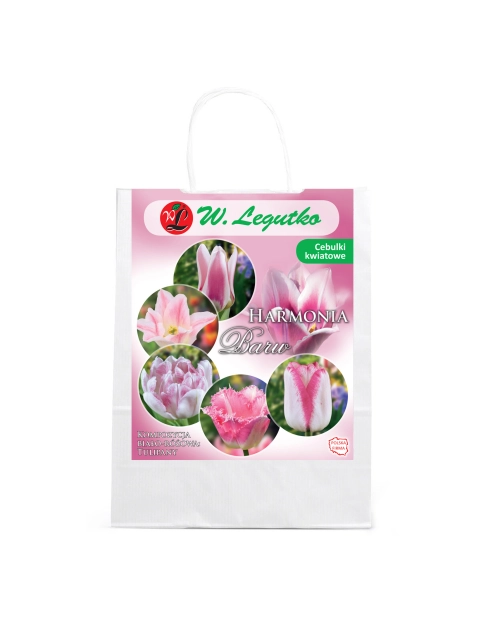 Zdjęcie: Kompozycja biało-różowa W.LEGUTKO