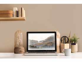 Farba plamoodporna Effect karmelowy 2,5 L DEKORAL