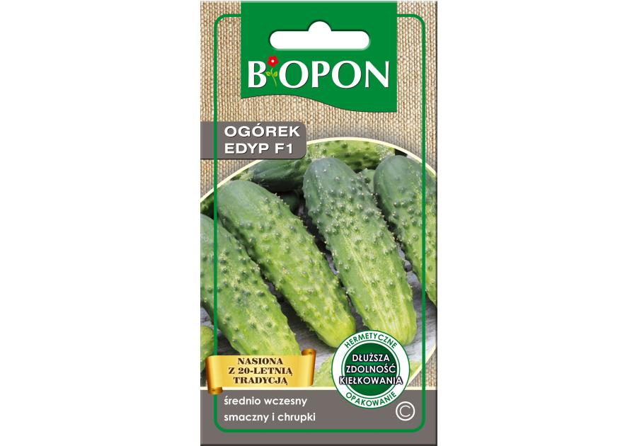 Zdjęcie: Ogórek Edyp F1 2 g BIOPON