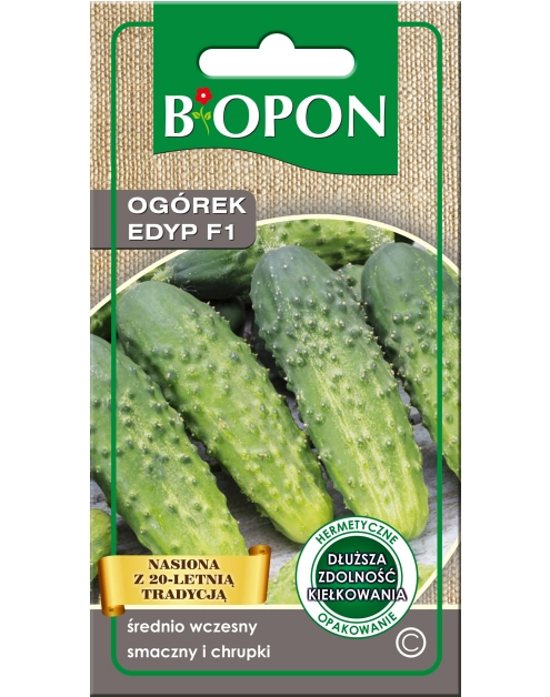 Zdjęcie: Ogórek Edyp F1 2 g BIOPON