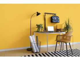 Farba lateksowa Moc Koloru cytrynowa beza 5 L DEKORAL