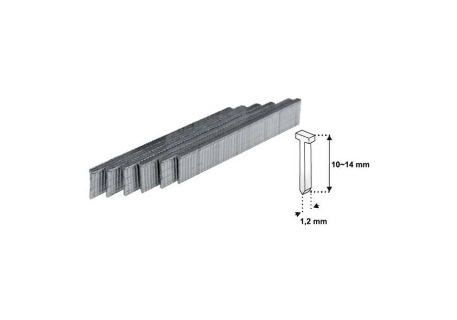 Zdjęcie: Gwoździe 14 mm - 1000 szt. D11T  -1,2 mm DEDRA