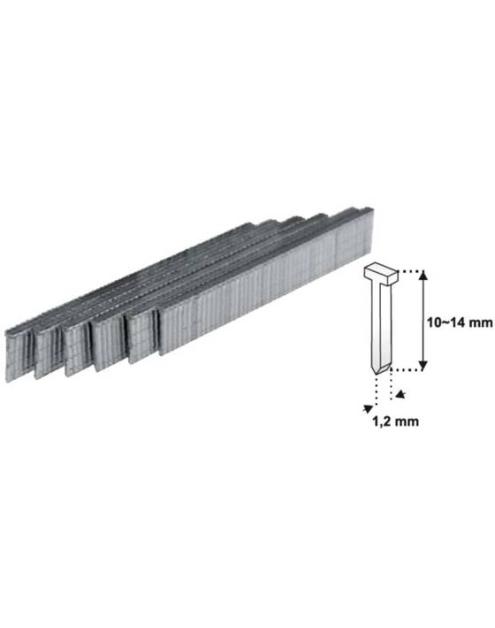 Zdjęcie: Gwoździe 14 mm - 1000 szt. D11T  -1,2 mm DEDRA