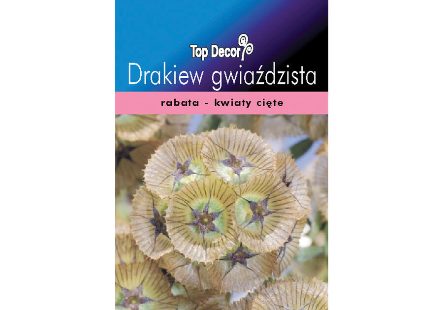 Zdjęcie: Drakiew gwiaździsta, Wdówka TOP DECOR