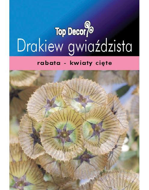 Zdjęcie: Drakiew gwiaździsta, Wdówka TOP DECOR