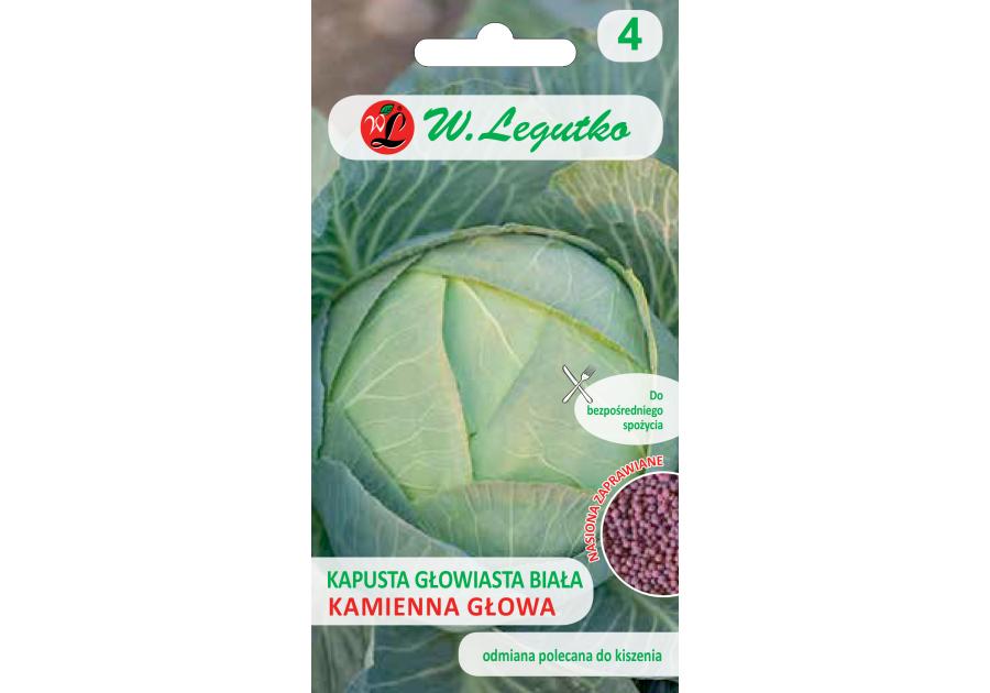 Zdjęcie: Kapusta głowiasta biała Brassica oleracea convar. capitata var. Alba W.LEGUTKO
