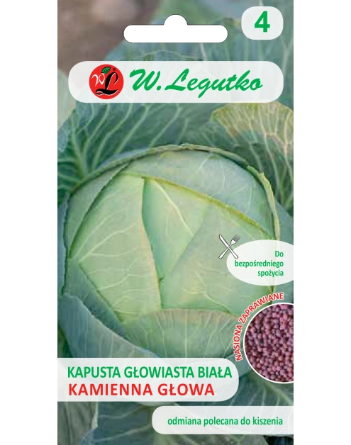 Zdjęcie: Kapusta głowiasta biała Brassica oleracea convar. capitata var. Alba W.LEGUTKO