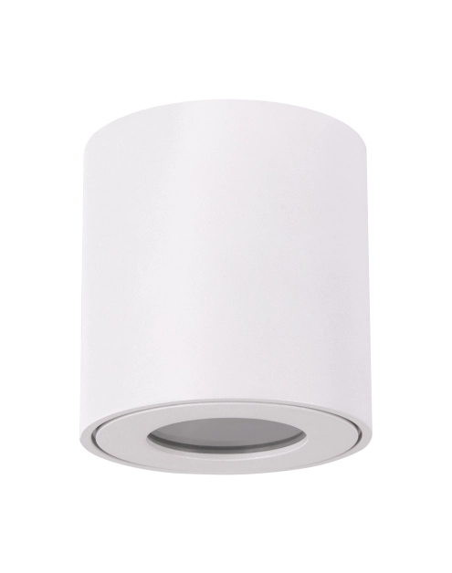 Zdjęcie: Oprawa sufitowa Zorba DWL GU10 White 35W STRUHM