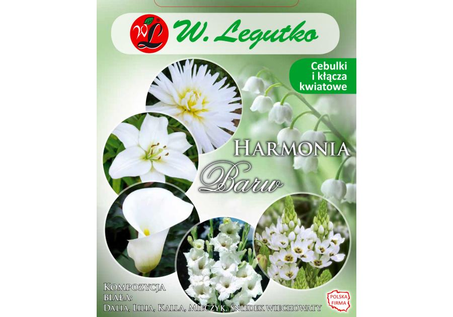 Zdjęcie: Kompozycja biała Harmonia Barw Wiosna W.LEGUTKO