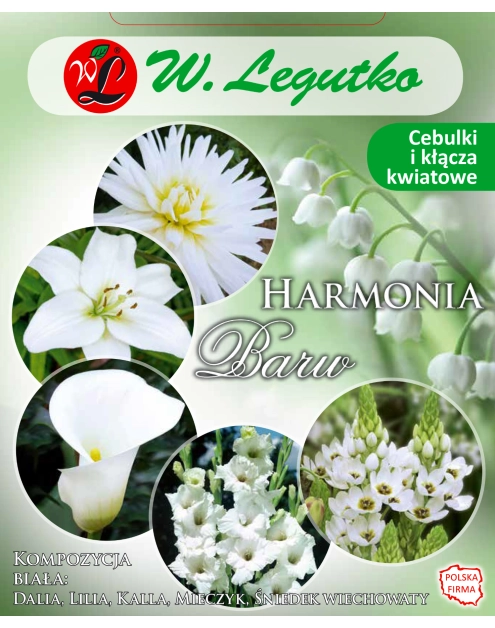Zdjęcie: Kompozycja biała Harmonia Barw Wiosna W.LEGUTKO