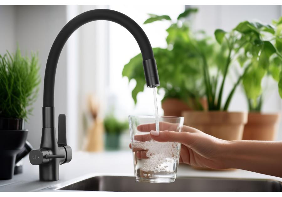 Zdjęcie: Bateria zlewozmywakowa z filtrem Glamour Trend, chrom/czarna INVENA