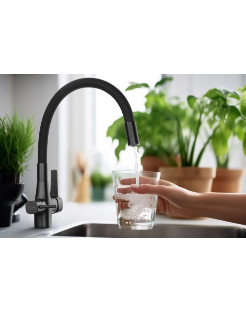 Zdjęcie: Bateria zlewozmywakowa z filtrem Glamour Trend, chrom/czarna INVENA