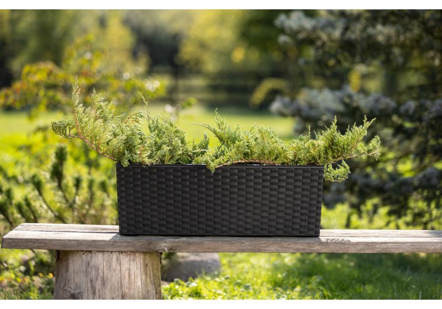 Zdjęcie: Kwietnik Begonia 190x560 mm rattan, czarny LAMELA