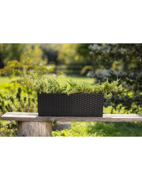 Zdjęcie: Kwietnik Begonia 190x560 mm rattan, czarny LAMELA