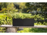 Zdjęcie: Kwietnik Begonia 190x560 mm rattan, czarny LAMELA