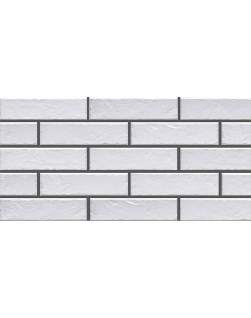 Zdjęcie: Płytka elewacyjna Foggia Bianco 24,5x6,5 cm CERRAD