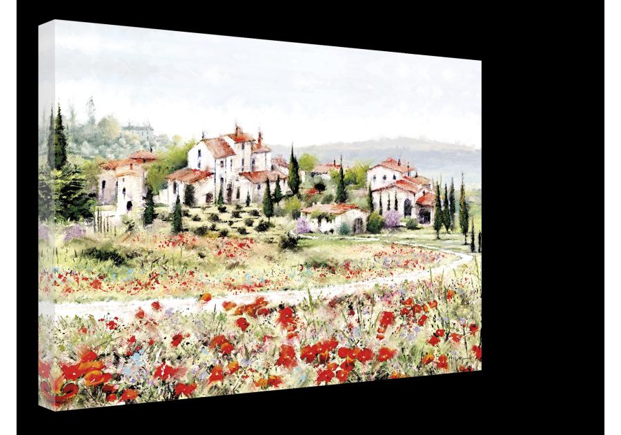 Zdjęcie: Obraz Canvas 60x80 cm St552 Red Meadow STYLER