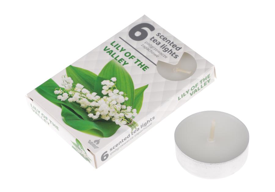 Zdjęcie: Podgrzewacz zapachowy 6 sztuk 97345 Konwalia RAVI