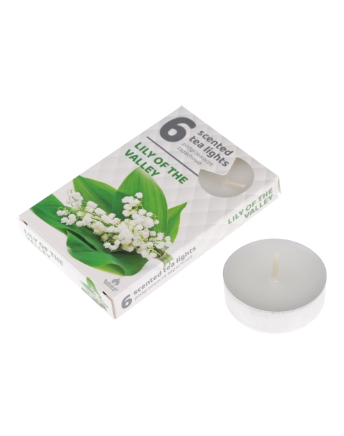 Zdjęcie: Podgrzewacz zapachowy 6 sztuk 97345 Konwalia RAVI