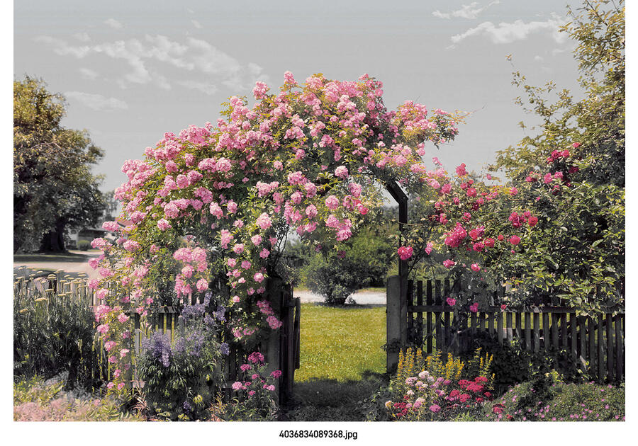 Zdjęcie: Fototapeta Rose Garden VENA