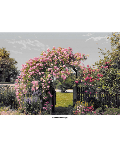 Zdjęcie: Fototapeta Rose Garden VENA