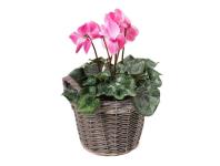 Zdjęcie: Kosz z uchwytami z folią do obsadzania kwiatami 31x24/29 cm duży TIN TOURS