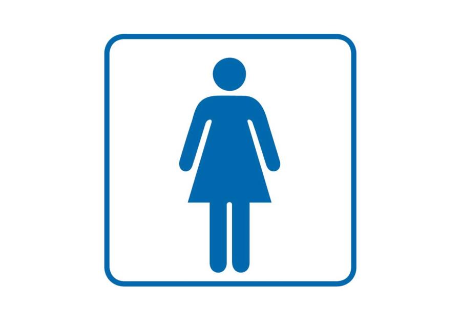 Zdjęcie: Oznaczenie "WC damskie" 14,8x14,8 cm folia METRO