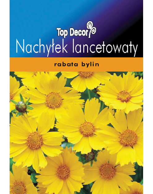 Zdjęcie: Nachyłek lancetowaty TOP DECOR