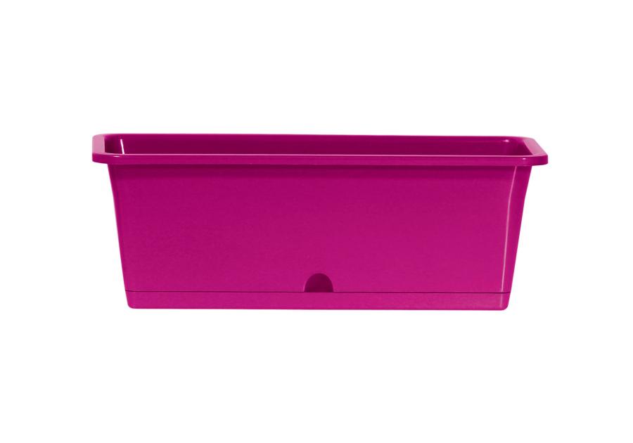 Zdjęcie: Doniczka Camelia W fuksja 50 cm PROSPERPLAST