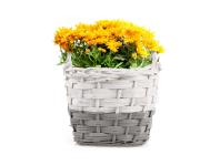 Zdjęcie: Koszyk wiklinowy doniczka z folią do obsadzania kwiatami 19x19x17/22 cm TIN TOURS