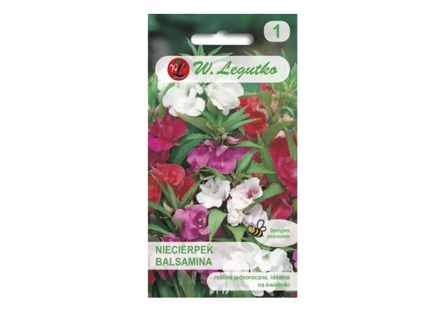 Zdjęcie: Niecierpek balsamina mieszanka 1 g W.LEGUTKO