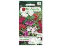 Zdjęcie: Niecierpek balsamina mieszanka 1 g W.LEGUTKO