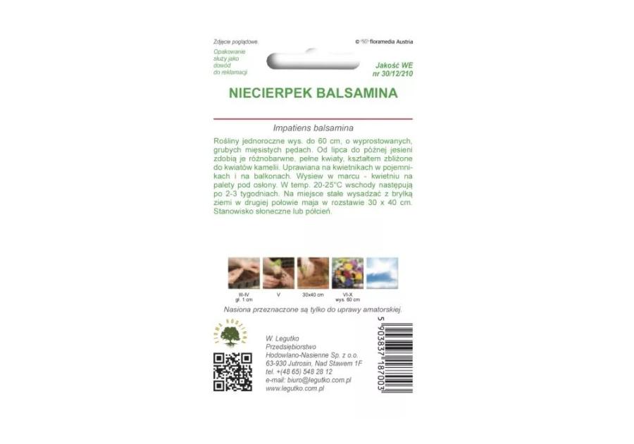 Zdjęcie: Niecierpek balsamina mieszanka 1 g W.LEGUTKO