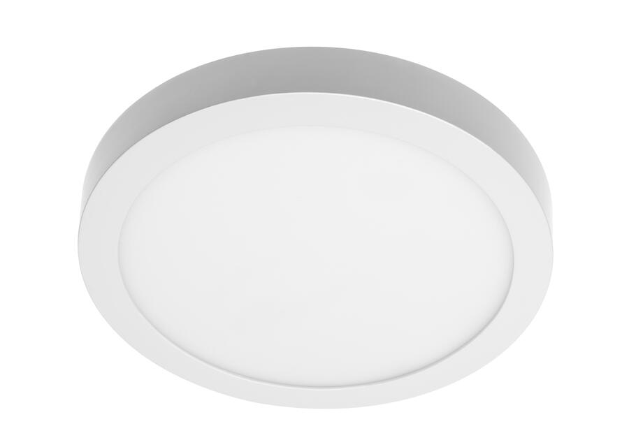 Zdjęcie: Oprawa LED Oris Plus typu downlight 24 W biała natynkowa GTV