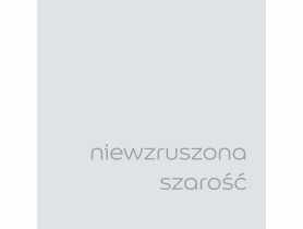 Tester farby EasyCare 0,03 L niewzruszona szarość DULUX