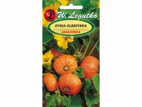 Dynia olbrzymia Amazonka pomarańczowa W. LEGUTKO