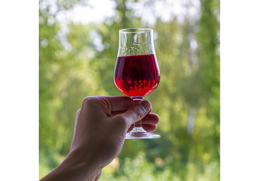 Zdjęcie: Klarowin Turbo - zol krzemionkowy + żelatyna BROWIN