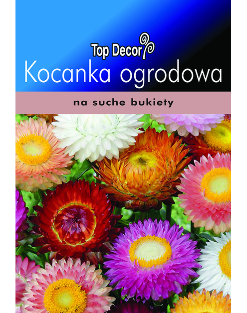 Zdjęcie: Kocanka ogrodowa TOP DECOR