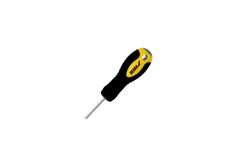 Zdjęcie: Wkrętak torx t 25x100 mm DEDRA