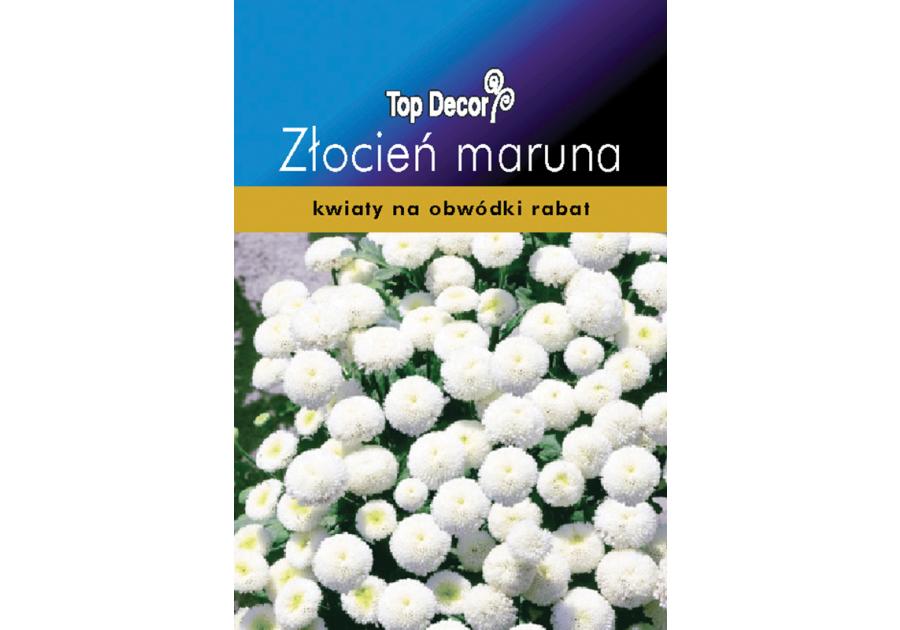 Zdjęcie: Złocień maruna TOP DECOR