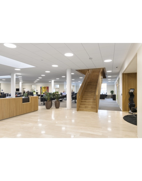 Zdjęcie: Płyta sufitowa Blanka E24 600x600x20 mm akustyczny sufit podwieszany ROCKFON