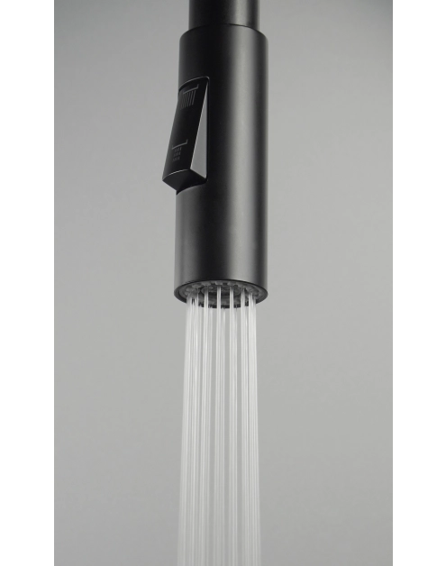 Zdjęcie: Słuchawka do baterii zlewozmywakowych Luno DEANTE