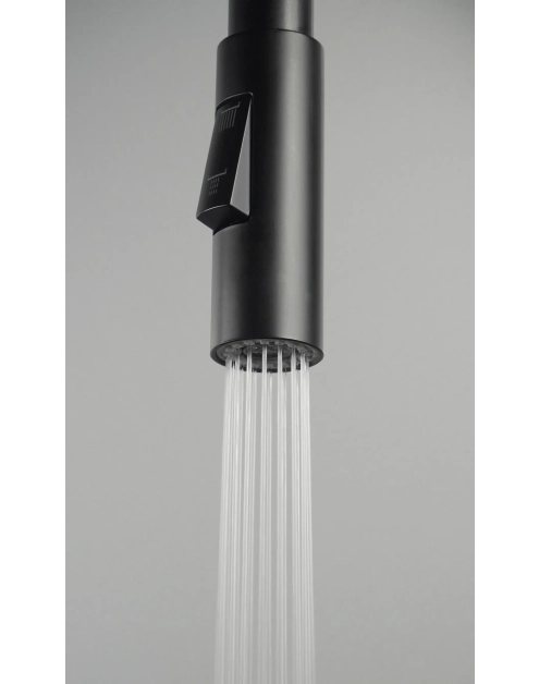 Zdjęcie: Słuchawka do baterii zlewozmywakowych Luno DEANTE