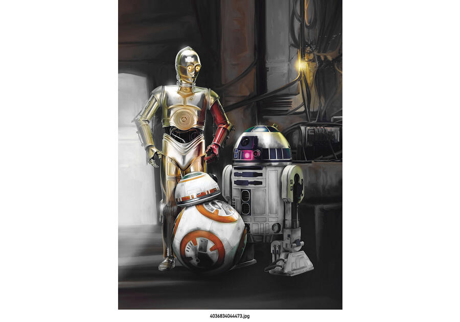 Zdjęcie: Fototapeta Star Wars Three Droids VENA