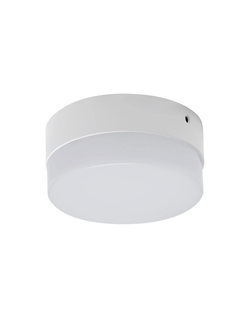 Zdjęcie: Oprawa sufitowa SMD Robin Led C 12W kolor biały STRUHM