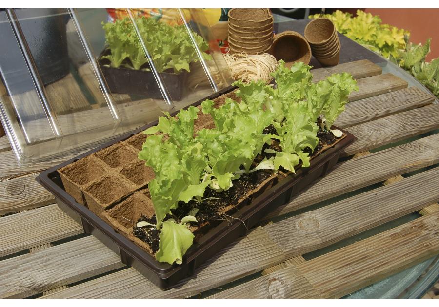 Zdjęcie: Mini szklarnia z biodegradowalnym podłożem Growing Kit 28 doniczek 5x5 cm, 38x23 cm, brązowy NORTENE