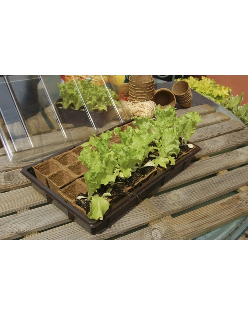 Zdjęcie: Mini szklarnia z biodegradowalnym podłożem Growing Kit 28 doniczek 5x5 cm, 38x23 cm, brązowy NORTENE