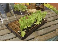 Zdjęcie: Mini szklarnia z biodegradowalnym podłożem Growing Kit 28 doniczek 5x5 cm, 38x23 cm, brązowy NORTENE
